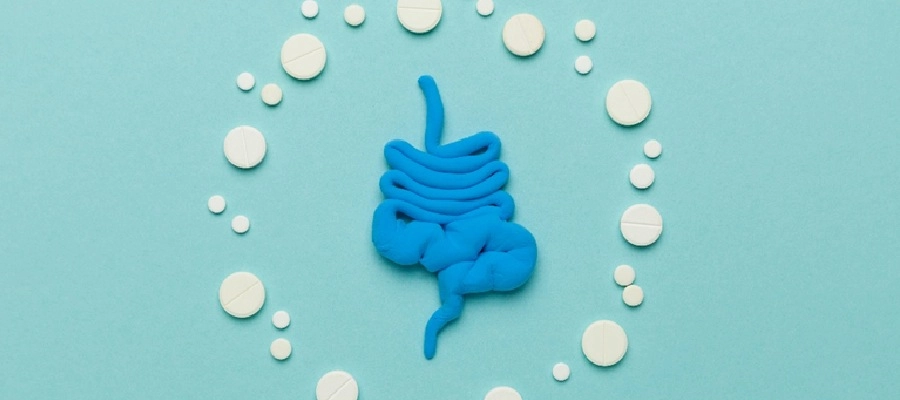 Imagem do post ilustração azul do intestino