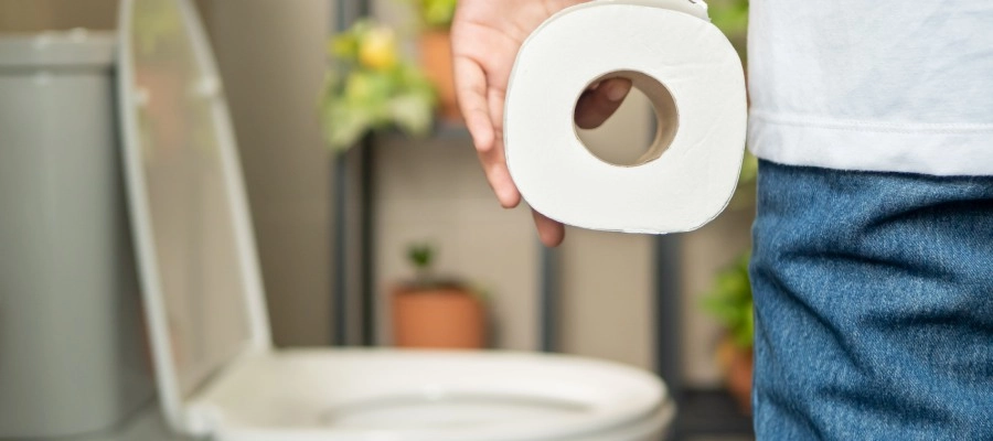 Imagem do post uma pessoa segurando um rolo de papel higiênico no banheiro