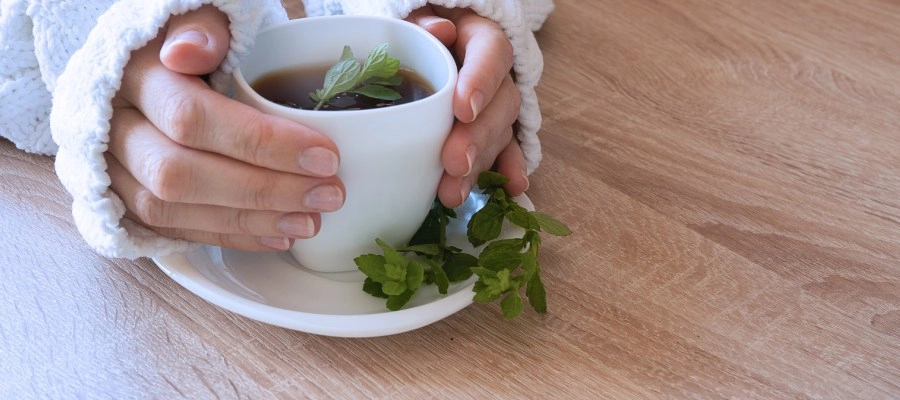 Imagem do post Pessoa com blusa de frio segurando uma xícara de chá para dor no estômago com folhas de hortelã, sobre um pires branco e uma mesa de madeira clara.