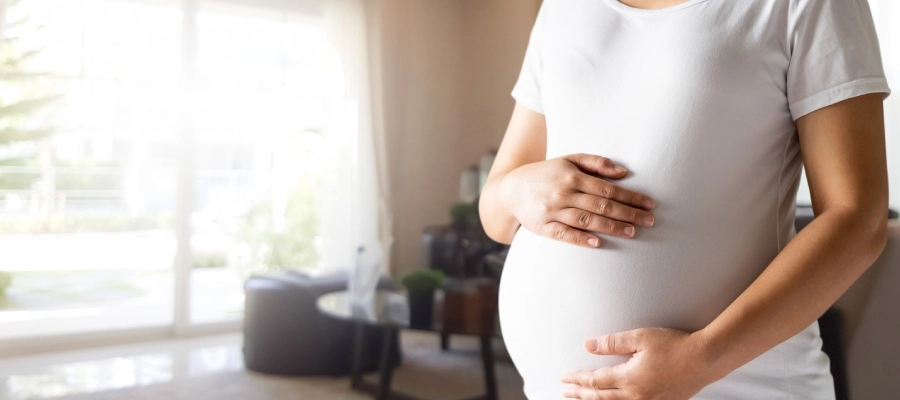 Imagem do post uma mulher grávida segurando sua barriga