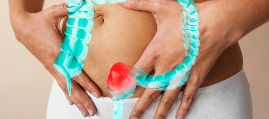intestino grosso