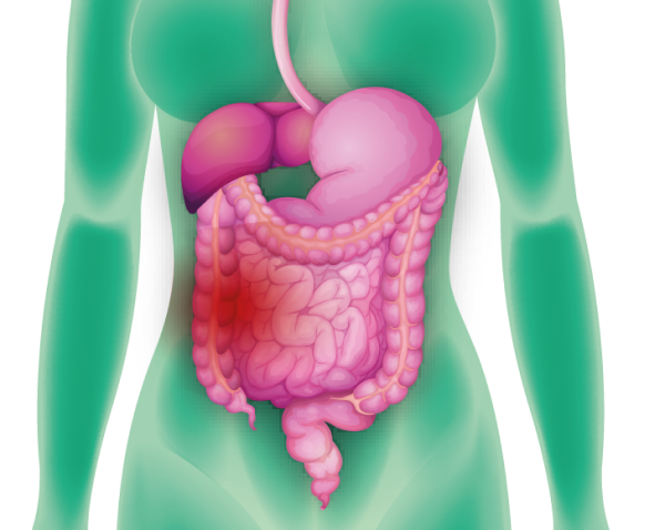 Dor na barriga do lado direito